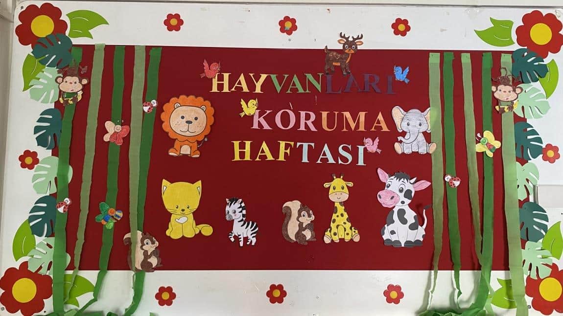 HAYVANLARI KORUMA HAFTASI